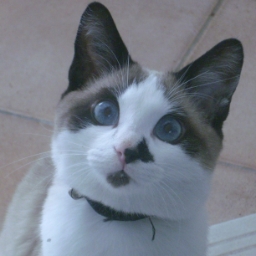 MIAOU2019