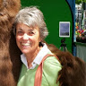 kate salamon